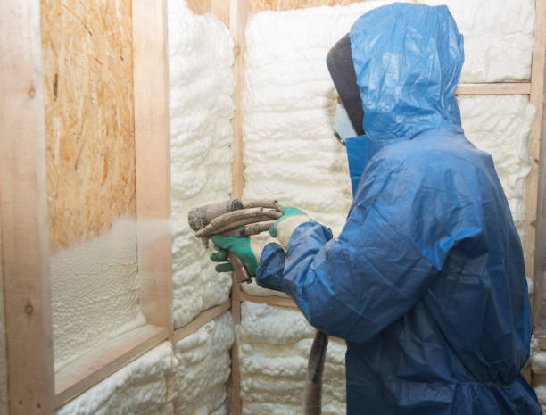 Types of Insulation We Offer in Zwolle, LA